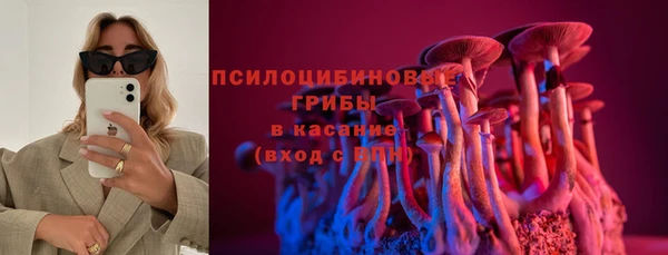 соль ск Абаза