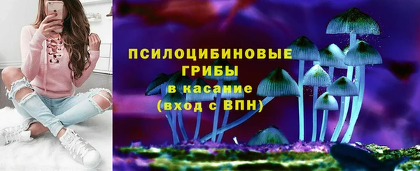 соль ск Абаза