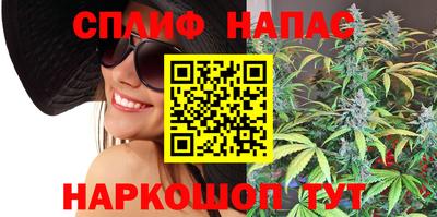 стаф Кунгур