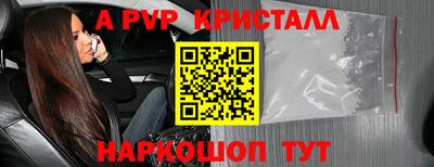 стаф Кунгур