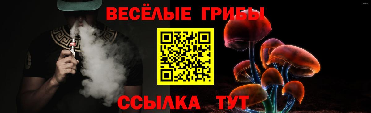 Галлюциногенные грибы Psilocybe Иваново